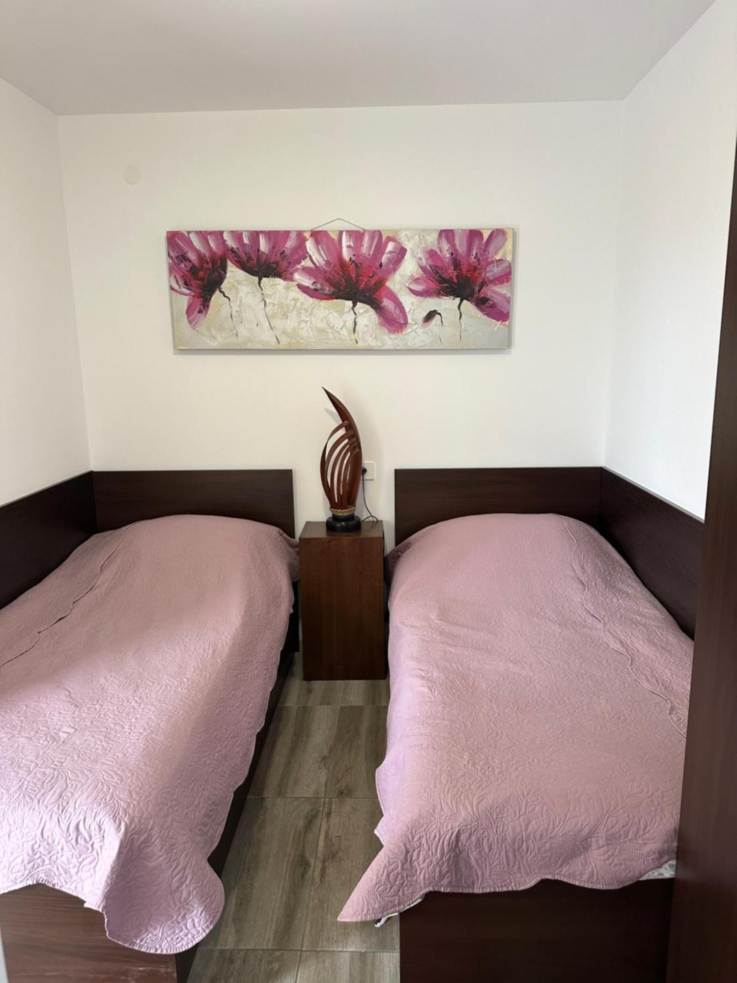 Double Room Apartment Tomas ドゥブロブニク エクステリア 写真